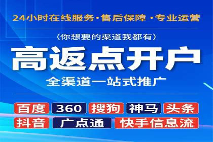 百度平台推广：成功案例解析与效果分析